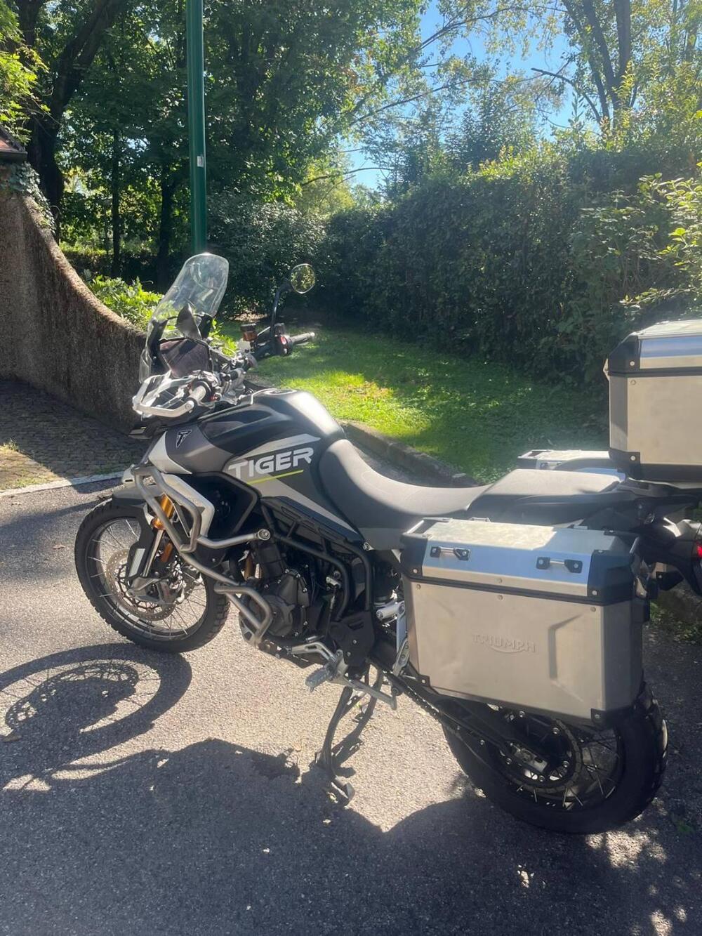 Triumph Tiger 900 Rally Aragón Edition (2023 - 24) (11)