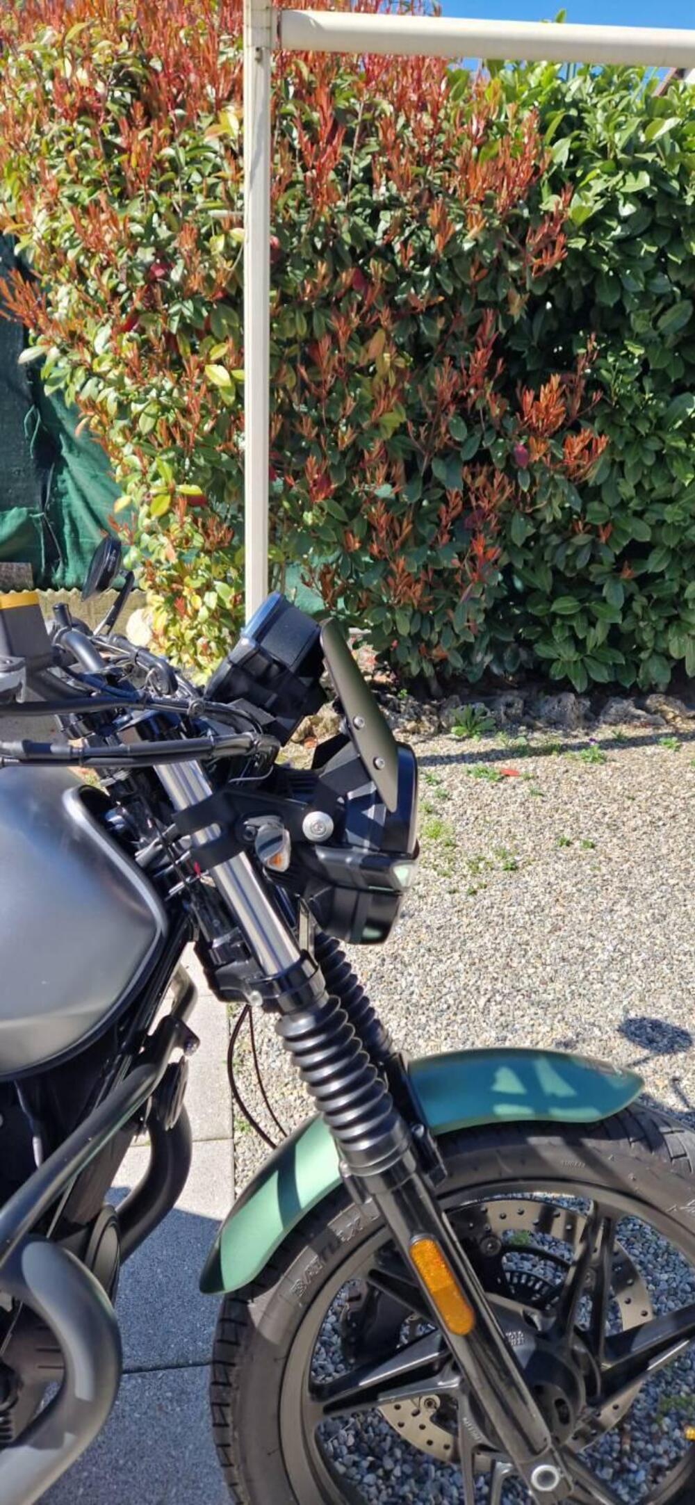 Moto Guzzi V7 Stone Centenario (2021 - 22) (5)