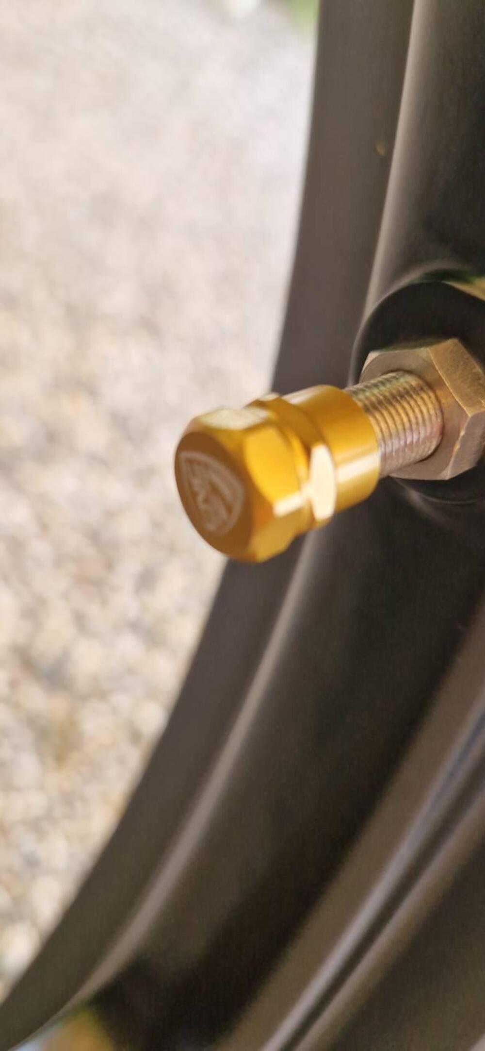 Moto Guzzi V7 Stone Centenario (2021 - 22) (10)