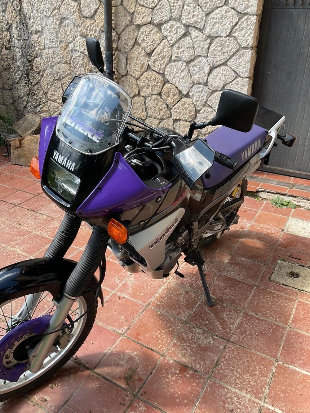 Yamaha XTZ 660 Téneré (1991 - 98) (6)