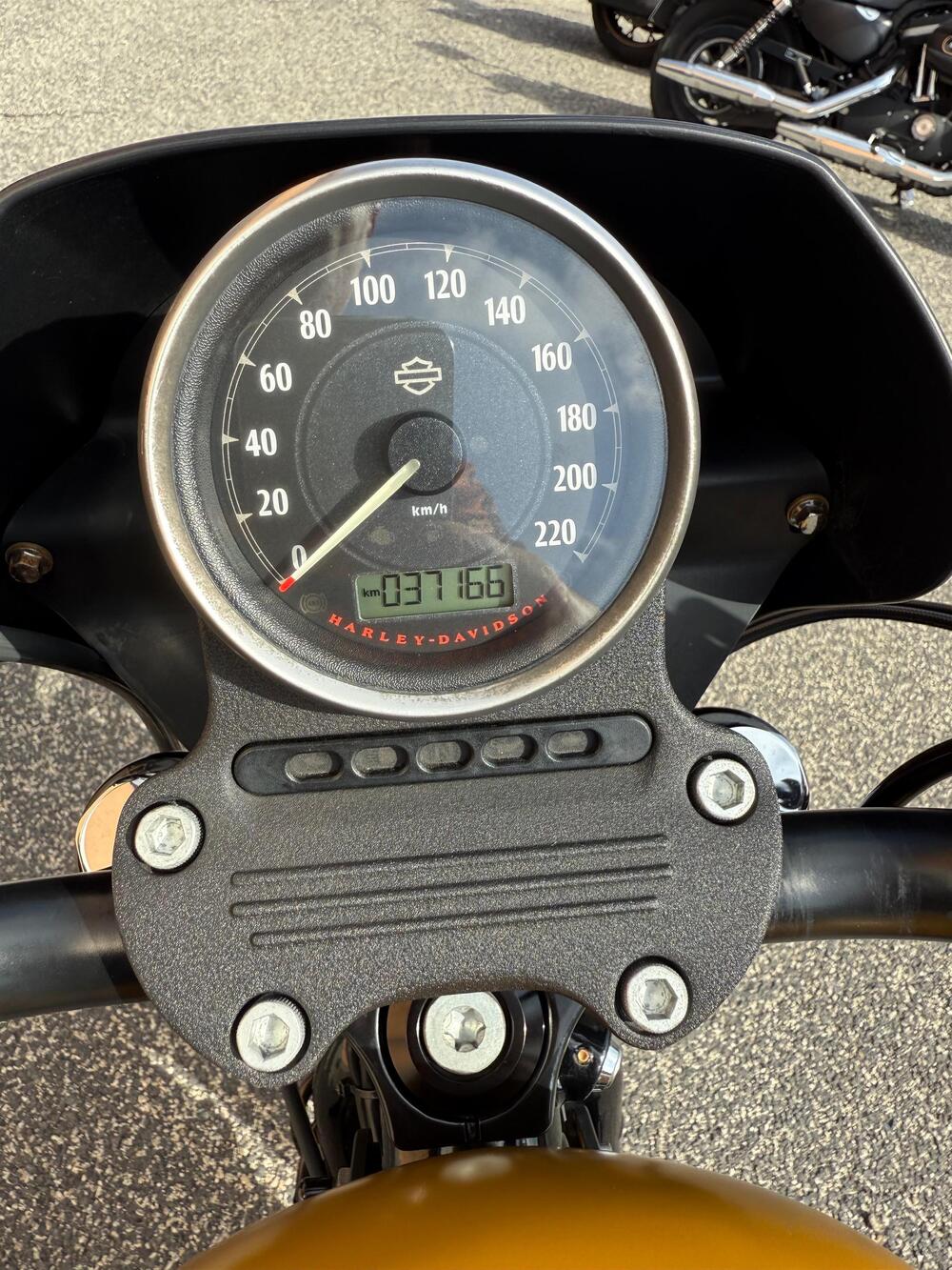 Harley-Davidson 883 Iron (2017 - 20) - XL 883N (7)