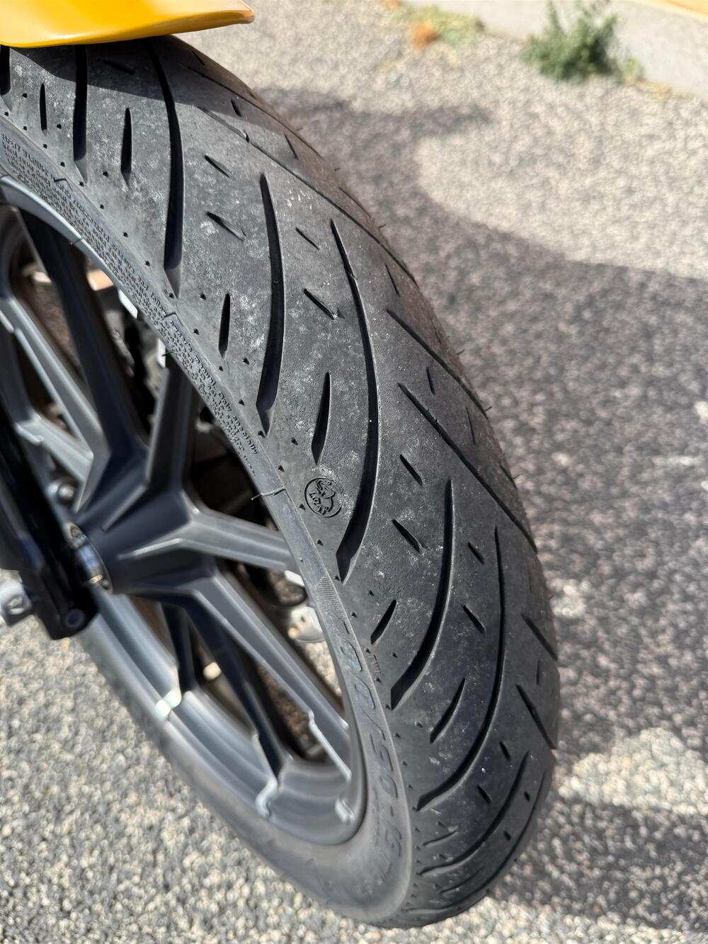 Harley-Davidson 883 Iron (2017 - 20) - XL 883N (9)