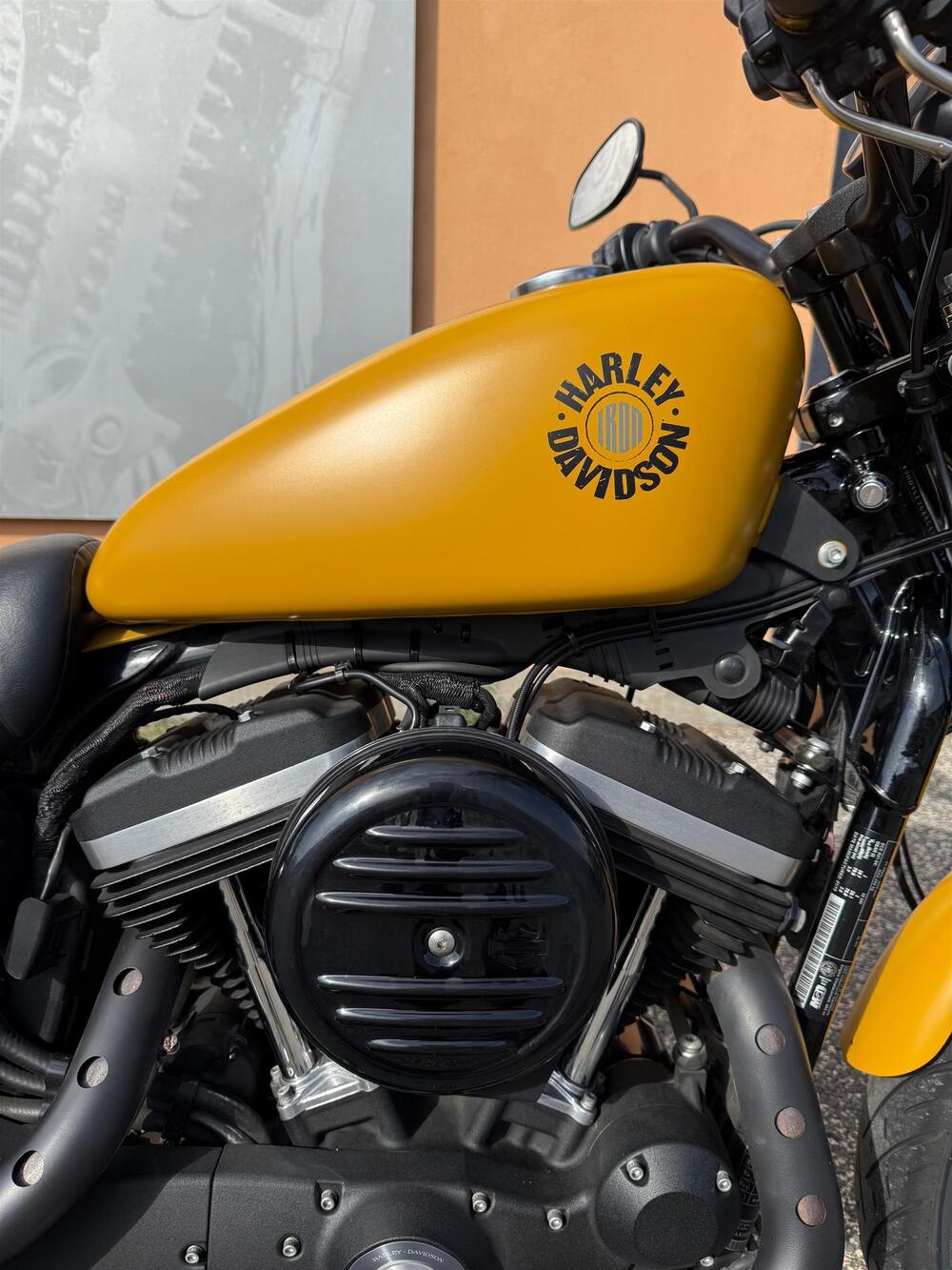 Harley-Davidson 883 Iron (2017 - 20) - XL 883N (6)