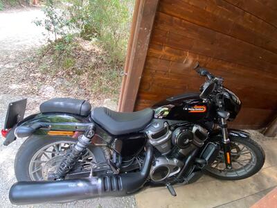 Harley-Davidson Softail Standard (2021 - 25) usata