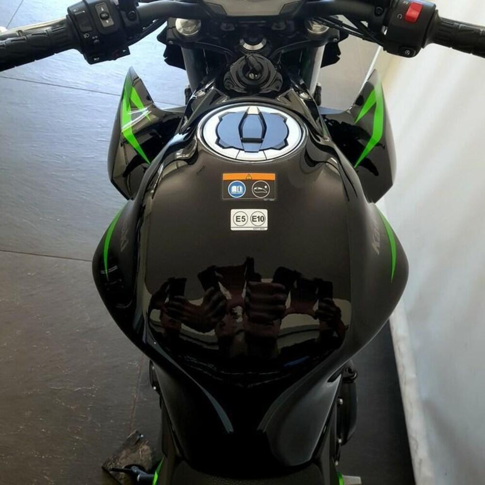 Kawasaki Z 650 Urban (2021 - 24) (6)