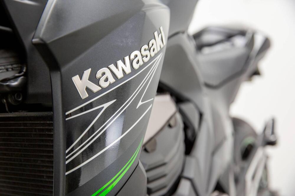 Kawasaki Z 800 Performance (2013 - 13) (11)