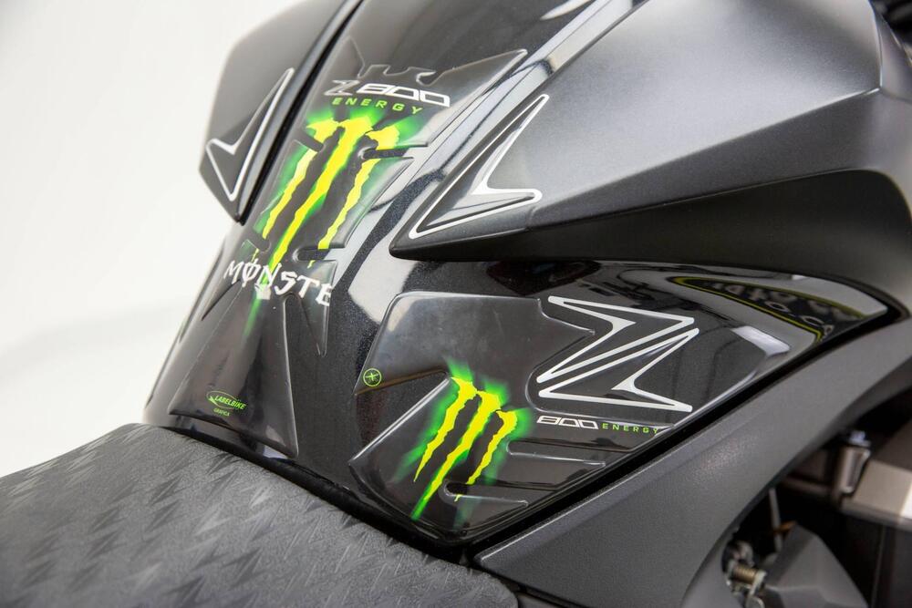 Kawasaki Z 800 Performance (2013 - 13) (13)