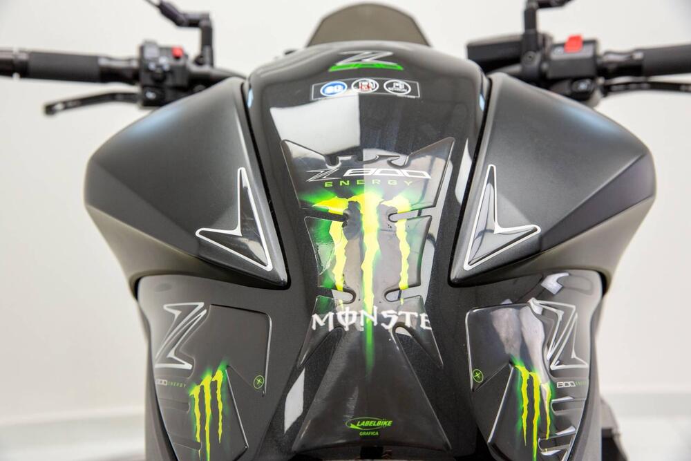 Kawasaki Z 800 Performance (2013 - 13) (14)