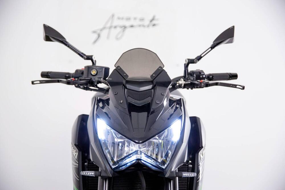 Kawasaki Z 800 Performance (2013 - 13) (17)