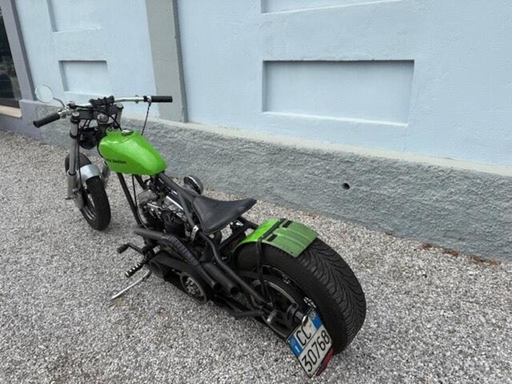 Harley-Davidson Panhead chopper (14)