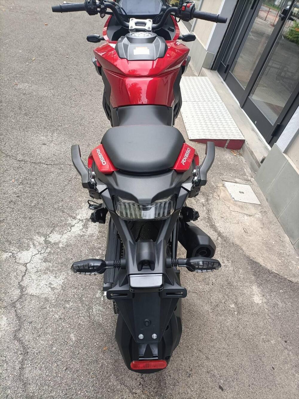 Cyclone RX650 (2025 - 26) (8)