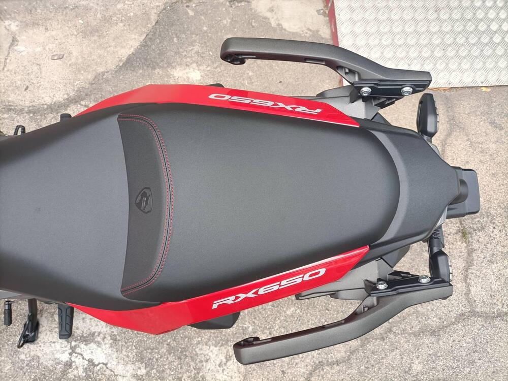 Cyclone RX650 (2025 - 26) (9)