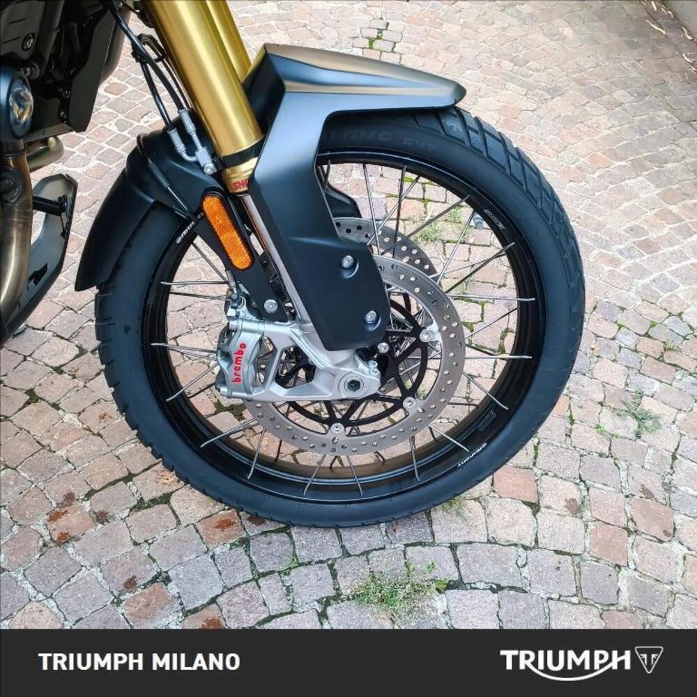 Triumph Tiger 1200 Rally Explorer (2022 - 23) (4)