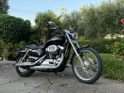 Harley-Davidson 1200 Custom (2004 - 06) - XL 1200C usata