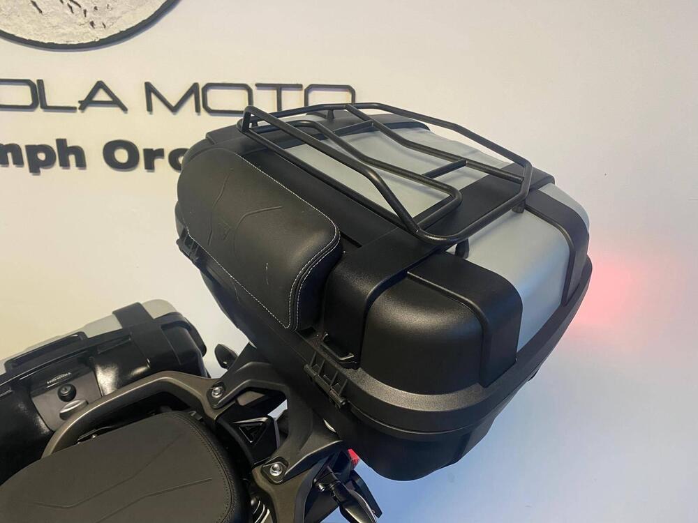 Triumph Tiger 1200 GT Pro (2024 - 25) (7)