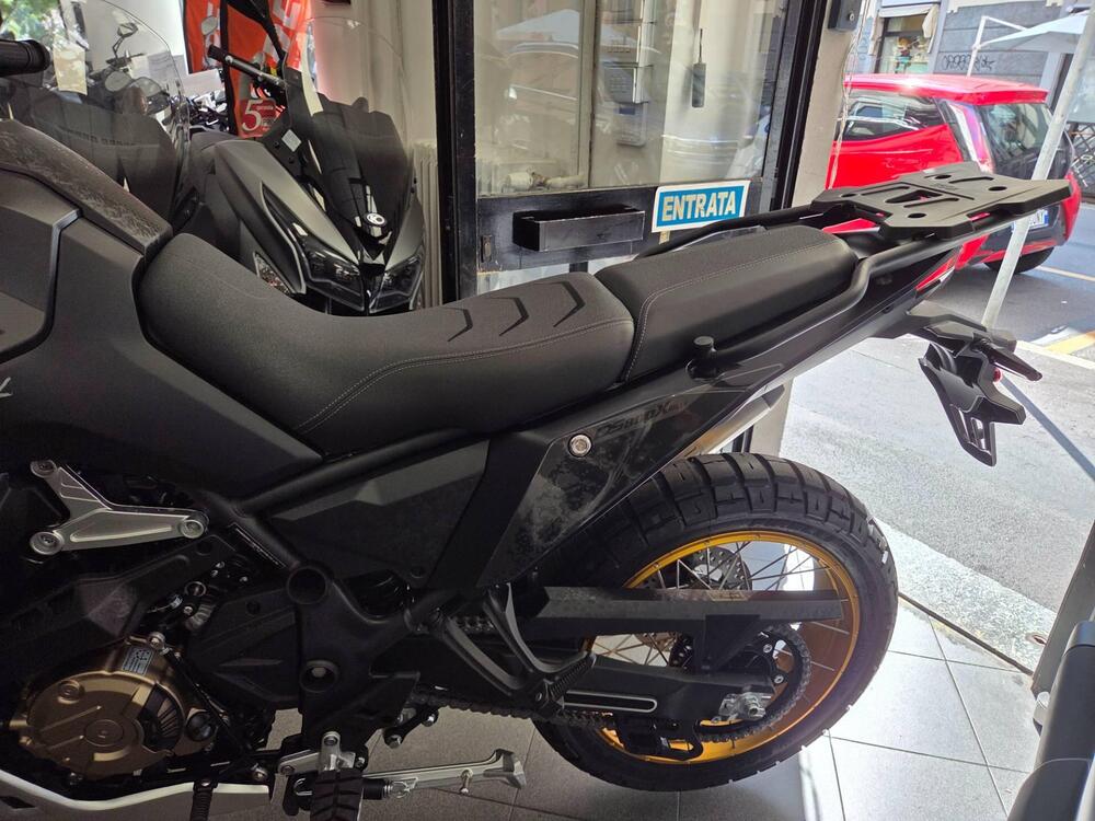 Voge Valico 800DSX Rally (2025 - 26) (3)