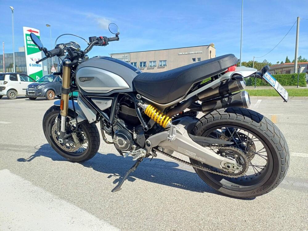 Ducati Scrambler 1100 (2018 - 20) (3)