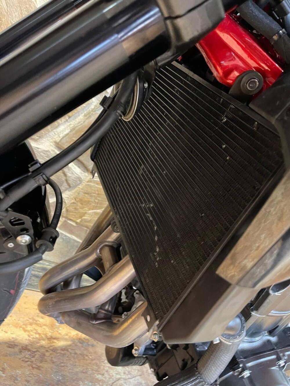 Kawasaki Z 900 (2021 - 24) (10)