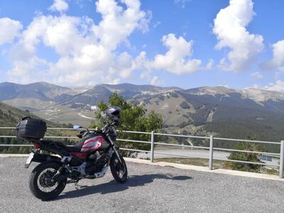 Moto Guzzi V85 TT Travel (2020) usata