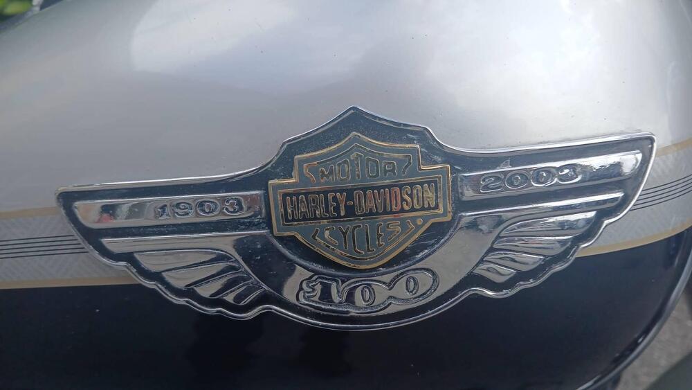 Harley-Davidson 1450 Heritage Classic (2003 - 05) - FLSTCI (4)