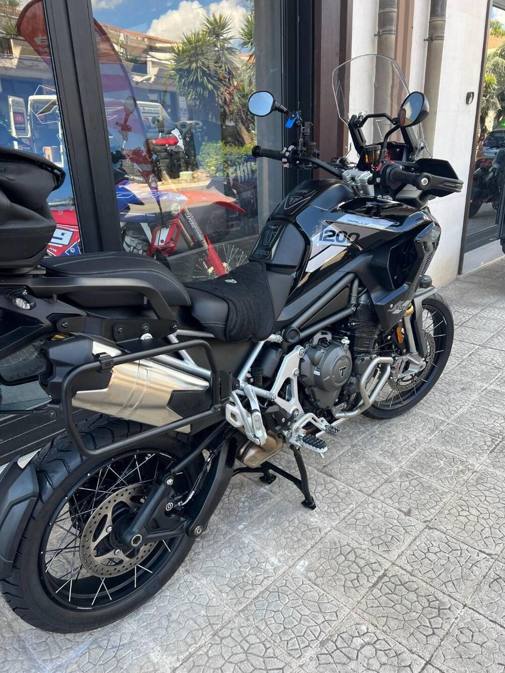 Triumph Tiger 1200 Rally Pro (2022 - 23) (3)