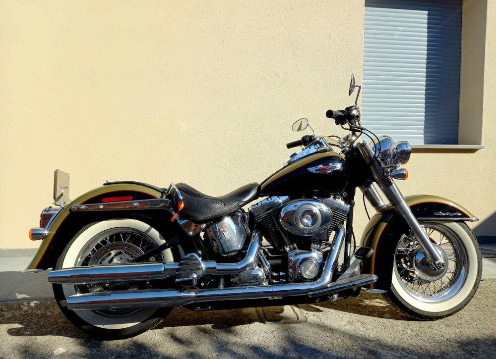 Harley-Davidson 1584 Deluxe (2007 - 08) - FLSTN (2)