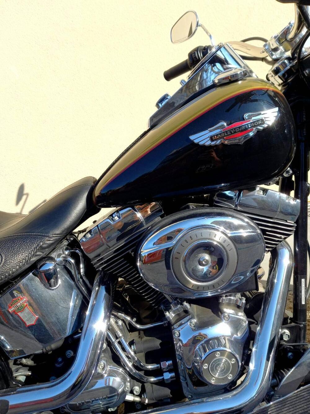Harley-Davidson 1584 Deluxe (2007 - 08) - FLSTN (3)