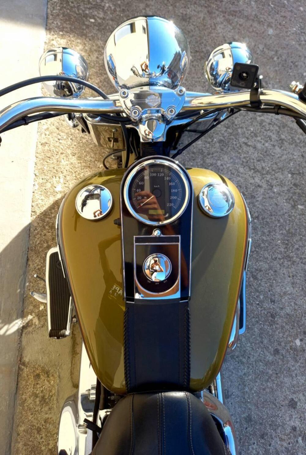 Harley-Davidson 1584 Deluxe (2007 - 08) - FLSTN (10)