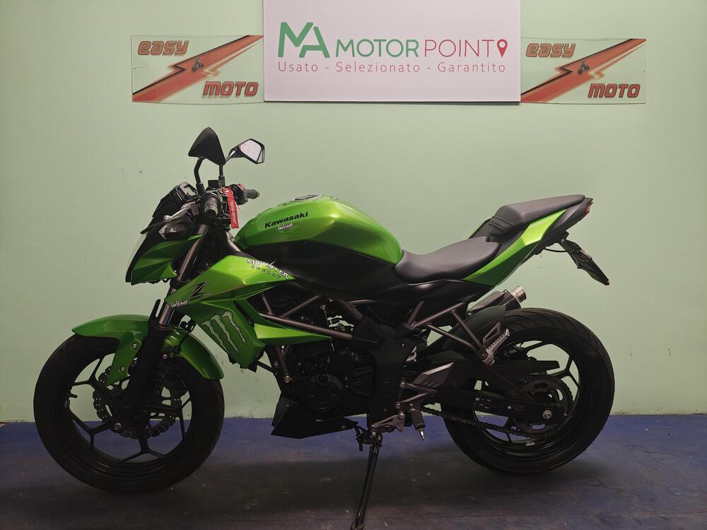 Kawasaki Z 250 SL (2015 - 16) (4)