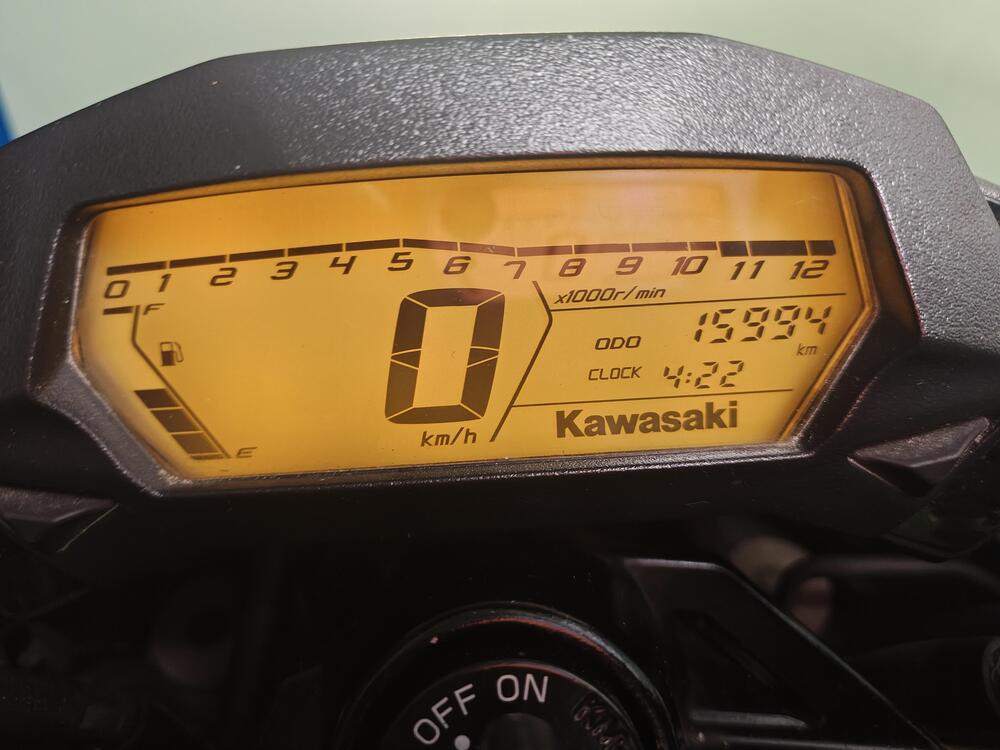 Kawasaki Z 250 SL (2015 - 16) (6)