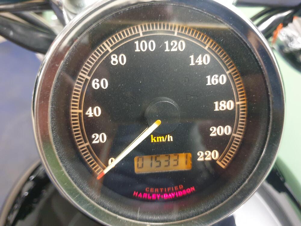 Harley-Davidson 1200 Custom (2004 - 06) - XL 1200C (6)