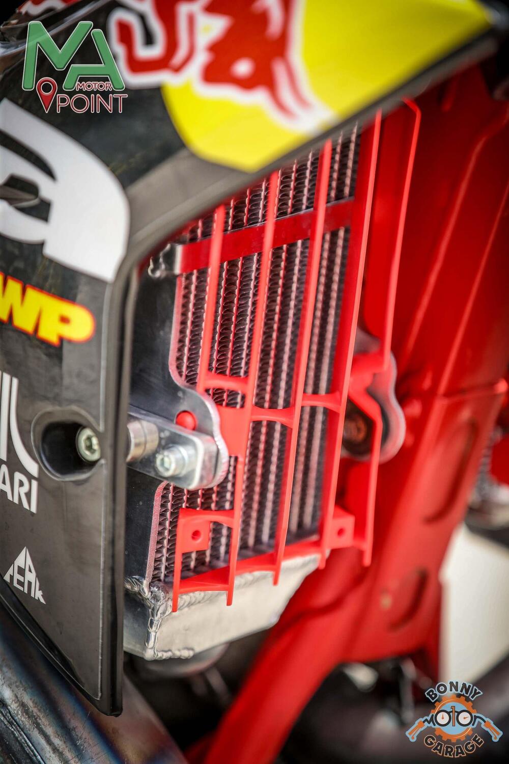 Betamotor RR 300 2T Enduro Racing (2015) (9)