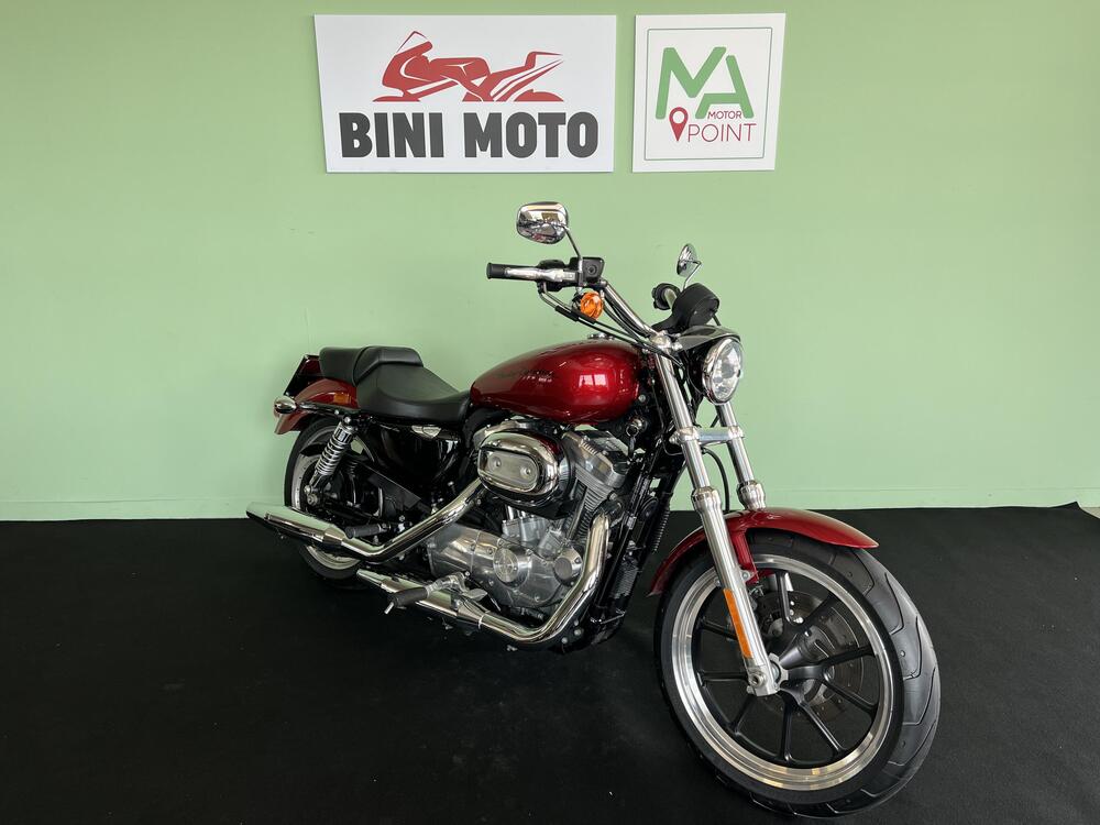 Harley-Davidson 883 Low (2008 - 12) - XL 883L (2)