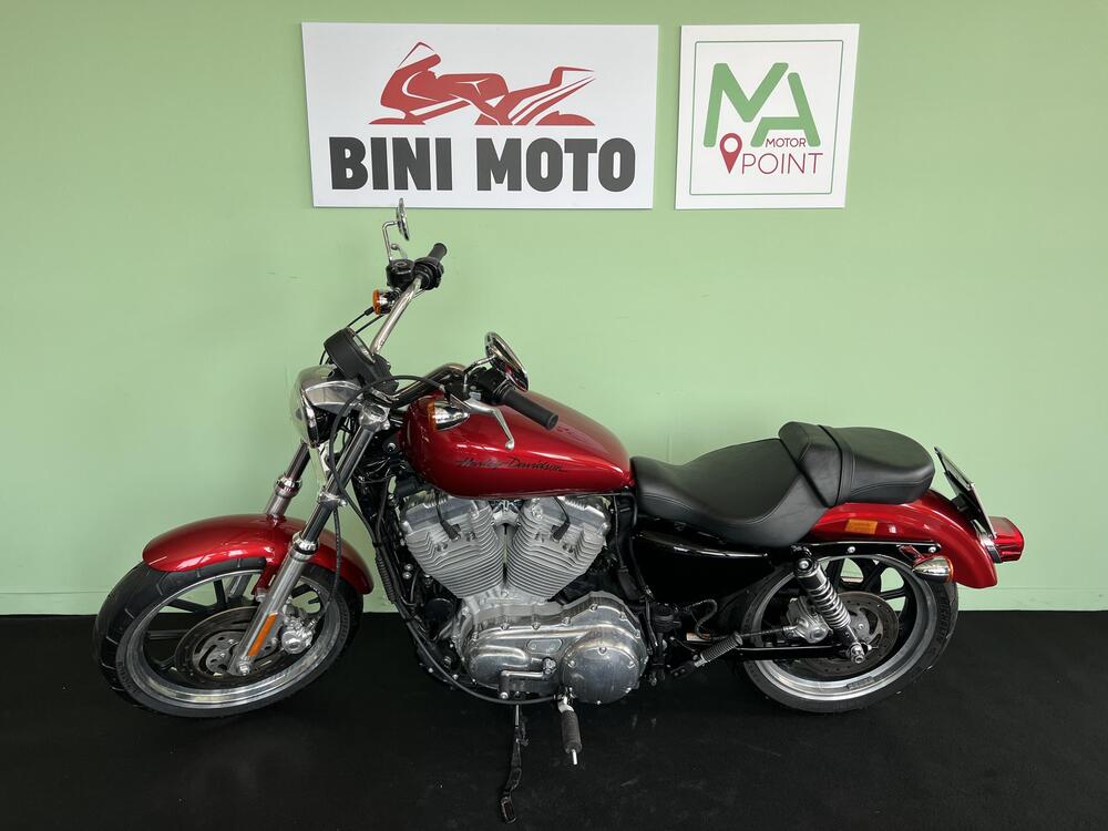 Harley-Davidson 883 Low (2008 - 12) - XL 883L (5)