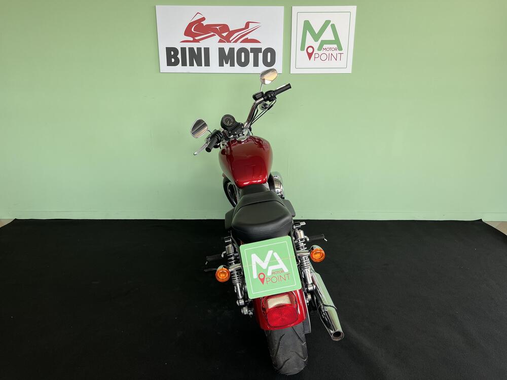 Harley-Davidson 883 Low (2008 - 12) - XL 883L (7)