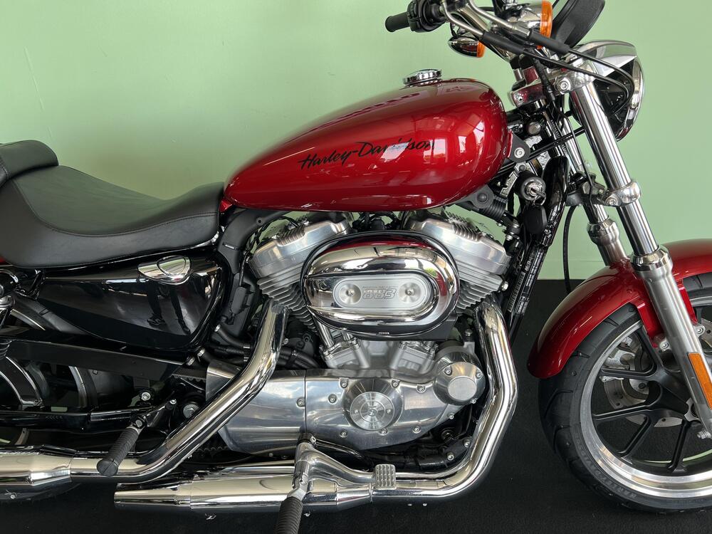 Harley-Davidson 883 Low (2008 - 12) - XL 883L (9)