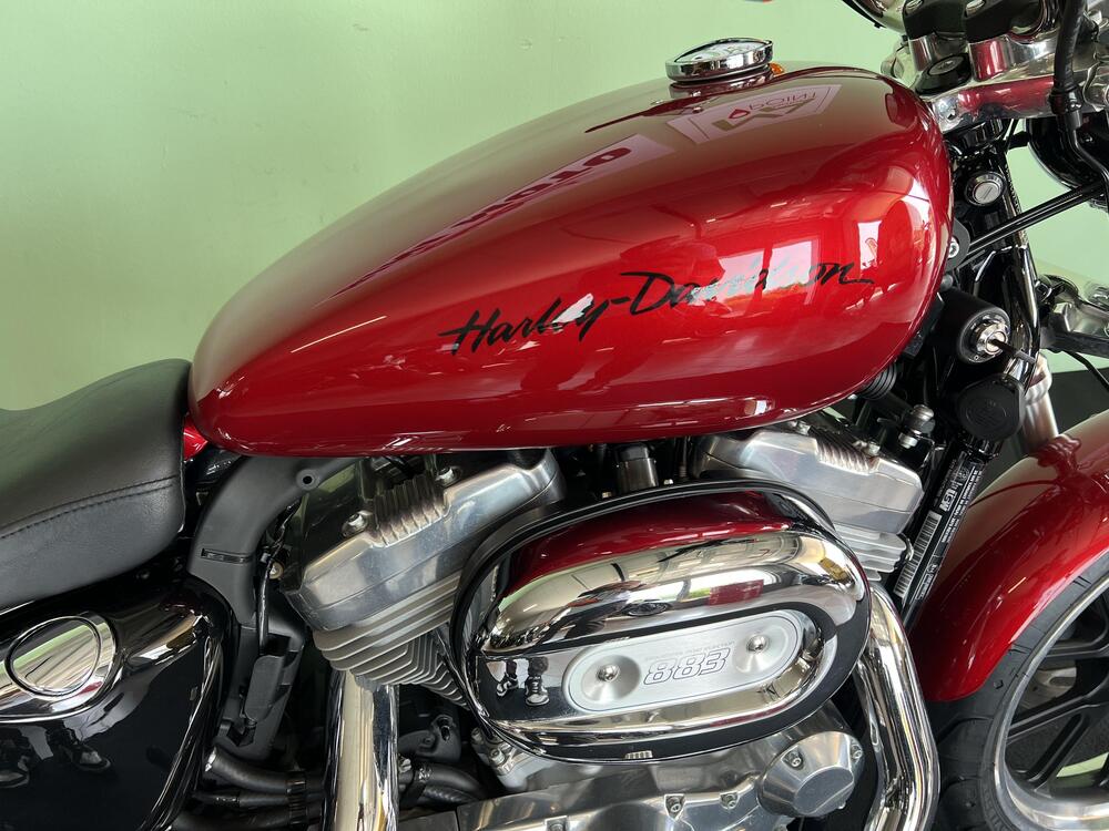 Harley-Davidson 883 Low (2008 - 12) - XL 883L (10)