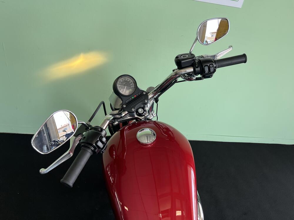 Harley-Davidson 883 Low (2008 - 12) - XL 883L (16)