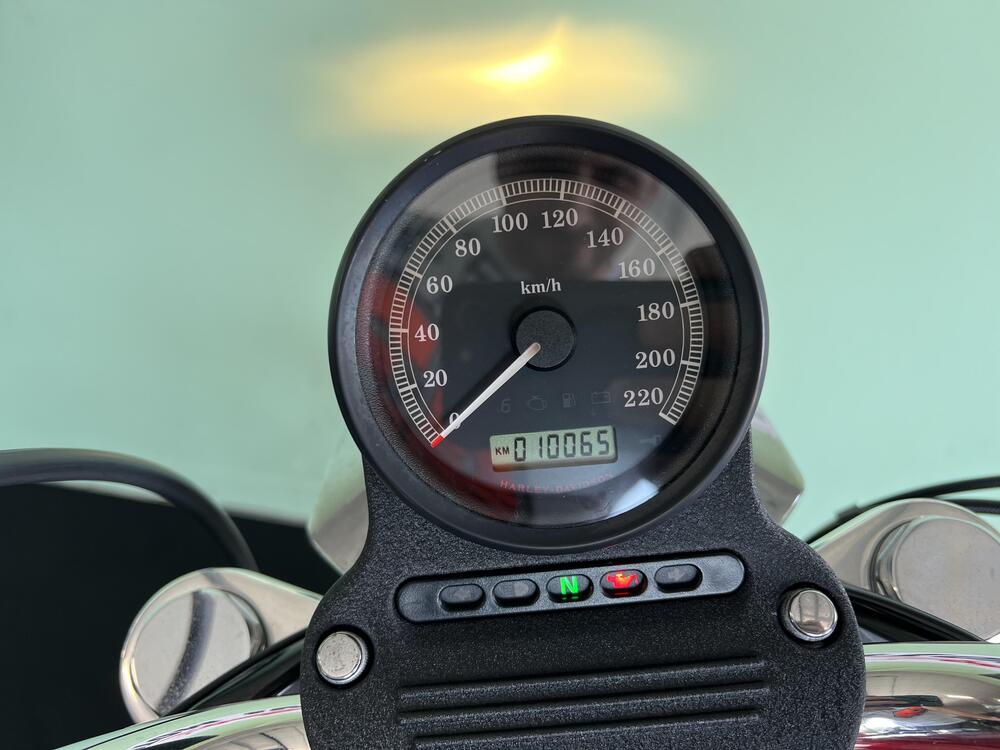 Harley-Davidson 883 Low (2008 - 12) - XL 883L (19)