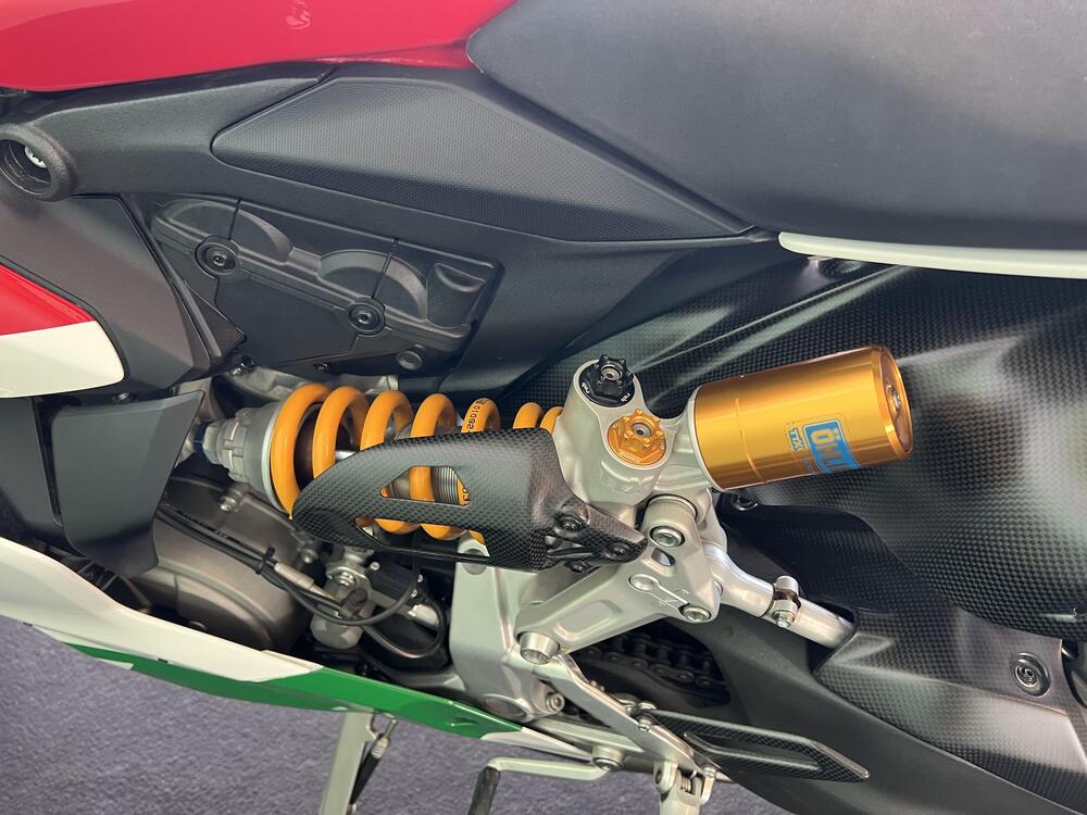 Ducati 1299 Panigale R Final Edition (2017 - 20) (14)