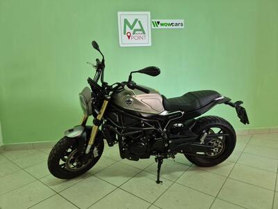 Benelli Leoncino 800 (2022 - 25) usata