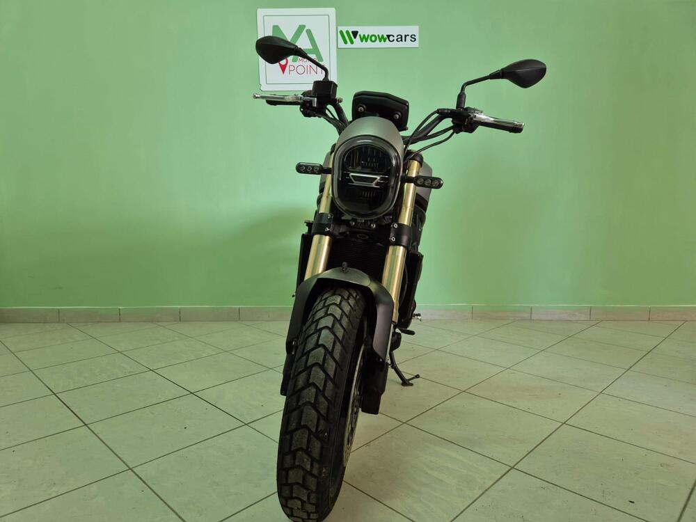 Benelli Leoncino 800 (2022 - 25) (4)