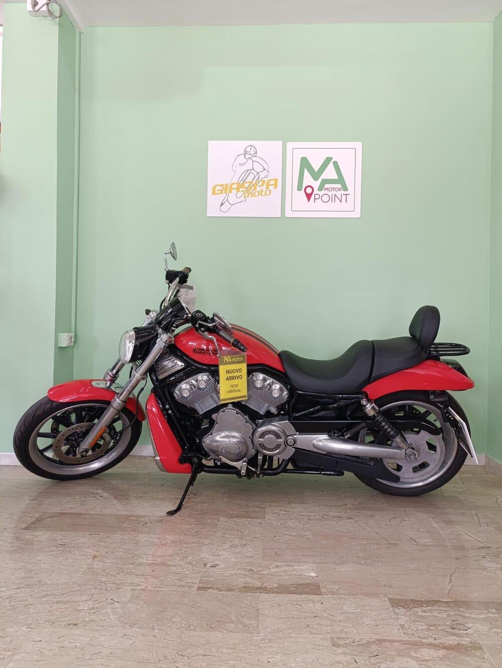 Harley-Davidson 1130 V-ROD (2002 - 05) - VRSCB