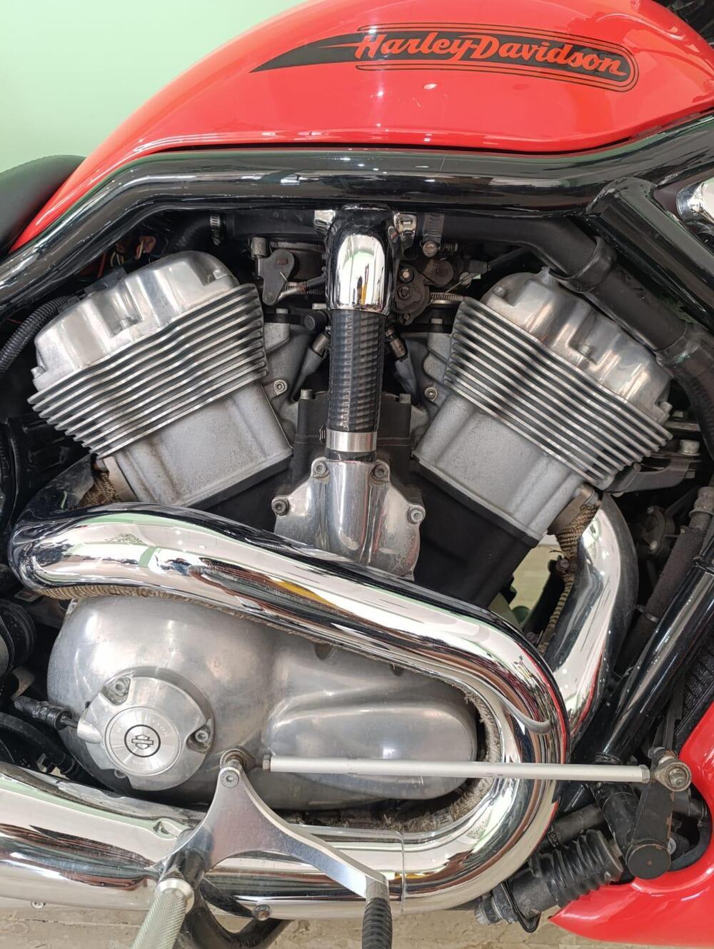 Harley-Davidson 1130 V-ROD (2002 - 05) - VRSCB (7)