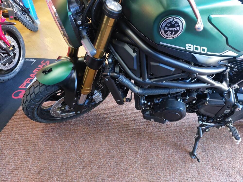 Benelli Leoncino 800 (2022 - 26) (11)
