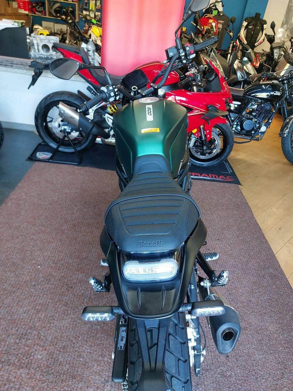 Benelli Leoncino 800 (2022 - 26) (7)