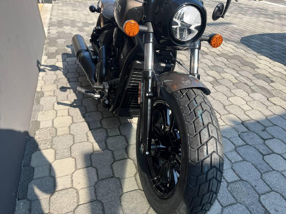 Indian Scout 1250 Bobber Limited + Tech (2025 - 26) (6)