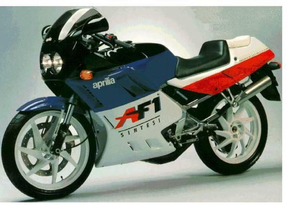 portatarga con indicatori AF1 SINTESI Aprilia (5)