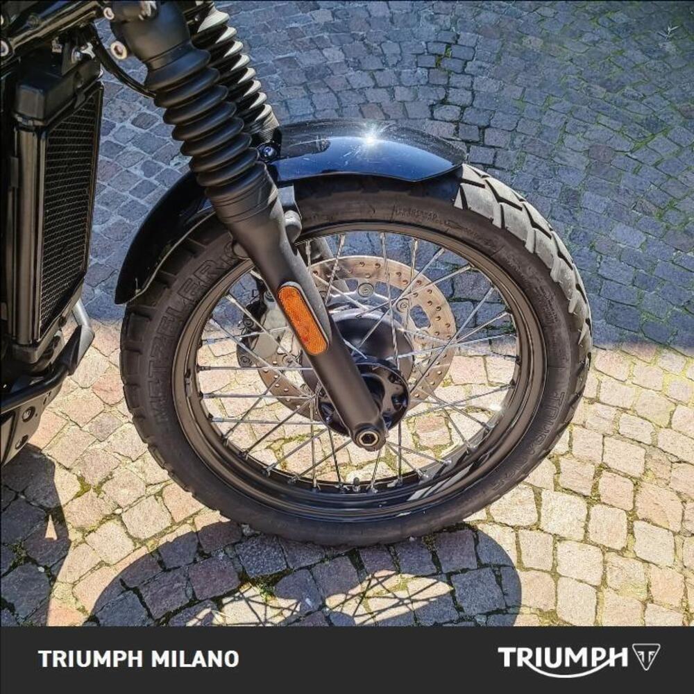 Triumph Street Scrambler 900 (2021 - 22) (8)