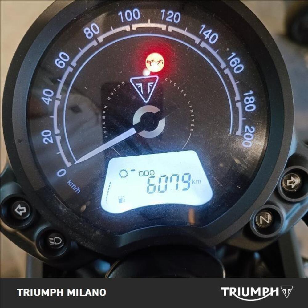 Triumph Street Scrambler 900 (2021 - 22) (9)